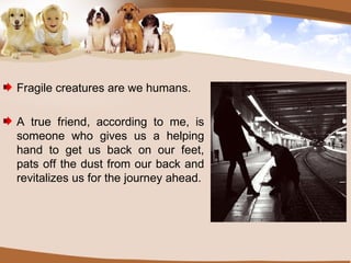 Fragile creatures are we humans. A true friend, according to me, is someone who gives us a helping hand to get us back on our feet, pats off the dust from our back and revitalizes us for the journey ahead. 