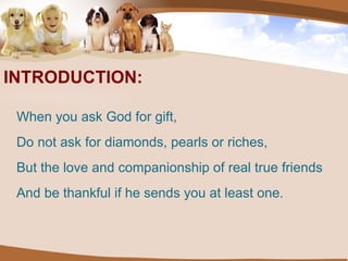 When you ask God for gift, Do not ask for diamonds, pearls or riches, But the love and companionship of real true friends  And be thankful if he sends you at least one. INTRODUCTION: 