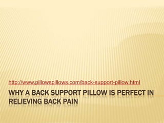 Why a Back Support Pillow is Perfect in Relieving Back Pain http://www.pillowspillows.com/back-support-pillow.html 