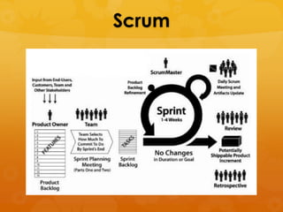 Scrum
 