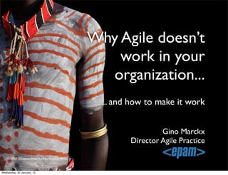 Why Agile doesn’t
work in your
organization...
Gino Marckx
Director Agile Practice
... and how to make it work
cbna EthiopeanTribes, Karo by Dietmar Temps
Wednesday, 30 January, 13
 