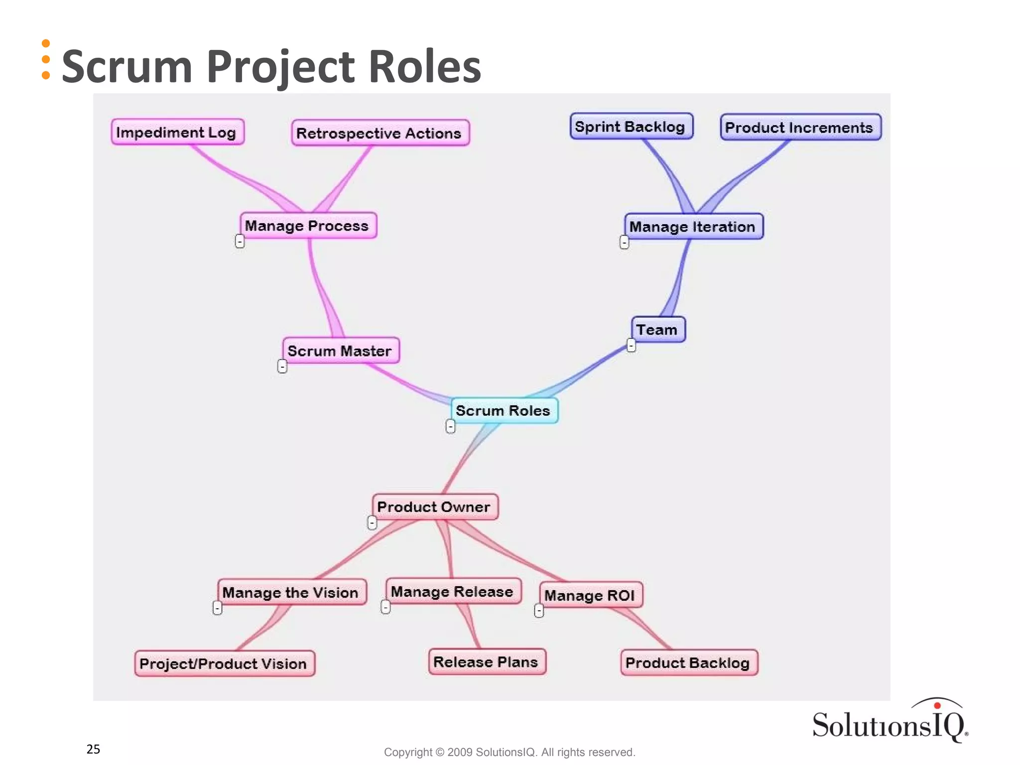 Scrum Project Roles 