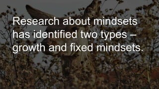 Research about mindsets
has identified two types –
growth and fixed mindsets.
 