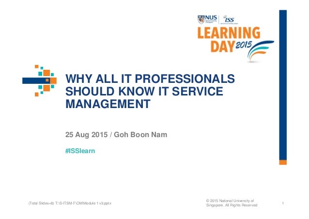 it professionals day