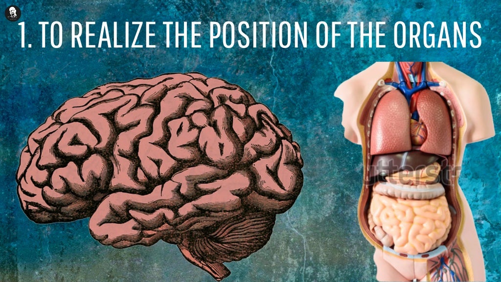 Why anatomical knowledge is important for every biomedical professional