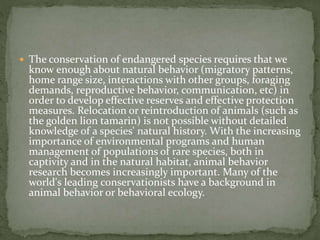  The conservation of endangered species requires that we
know enough about natural behavior (migratory patterns,
home range size, interactions with other groups, foraging
demands, reproductive behavior, communication, etc) in
order to develop effective reserves and effective protection
measures. Relocation or reintroduction of animals (such as
the golden lion tamarin) is not possible without detailed
knowledge of a species' natural history. With the increasing
importance of environmental programs and human
management of populations of rare species, both in
captivity and in the natural habitat, animal behavior
research becomes increasingly important. Many of the
world's leading conservationists have a background in
animal behavior or behavioral ecology.
 