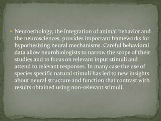  Neuroethology, the integration of animal behavior and
the neurosciences, provides important frameworks for
hypothesizing neural mechanisms. Careful behavioral
data allow neurobiologists to narrow the scope of their
studies and to focus on relevant input stimuli and
attend to relevant responses. In many case the use of
species specific natural stimuli has led to new insights
about neural structure and function that contrast with
results obtained using non-relevant stimuli.
 