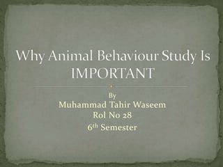 Why do we study Animal Behavior