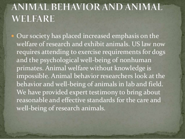 Why Do We Study Animal Behavior