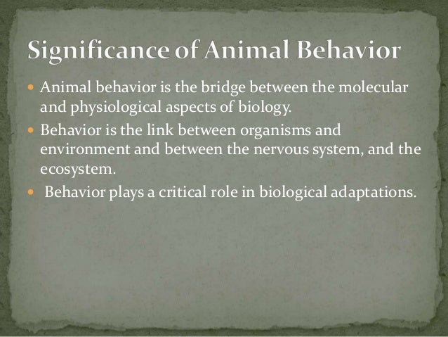 Why Do We Study Animal Behavior