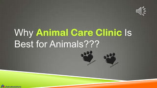 Why
Best for Animals???

Is

 