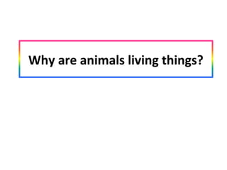 Why are animals living things?
 
