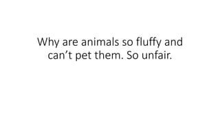 Why are animals so fluffy and
can’t pet them. So unfair.
 