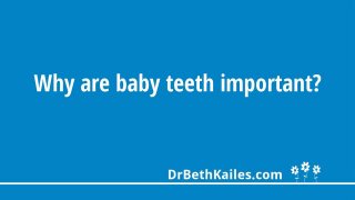 Why are baby teeth important?