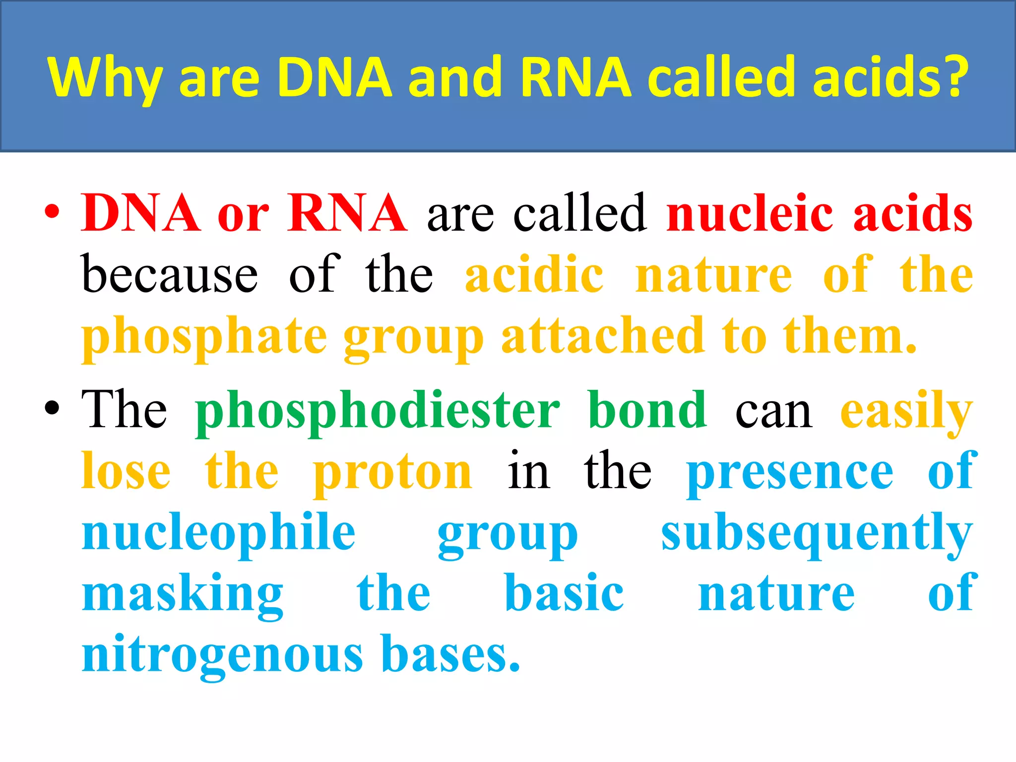 Why are dna and rna called acids AND FUNCTIONS OF NUCLEIC ACIDS PPT