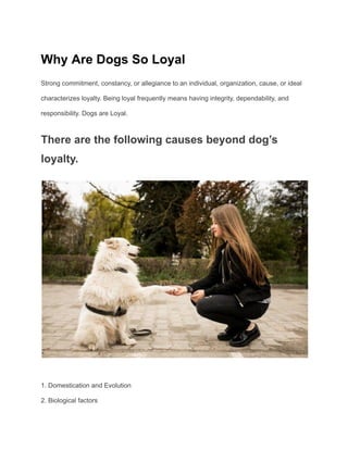 Why Are Dogs So Loyal
Strong commitment, constancy, or allegiance to an individual, organization, cause, or ideal
characterizes loyalty. Being loyal frequently means having integrity, dependability, and
responsibility. Dogs are Loyal.
There are the following causes beyond dog’s
loyalty.
1. Domestication and Evolution
2. Biological factors
 