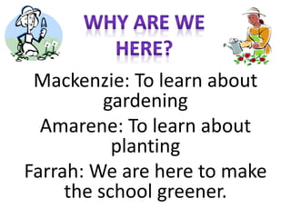 Mackenzie: To learn about
gardening
Amarene: To learn about
planting
Farrah: We are here to make
the school greener.
 