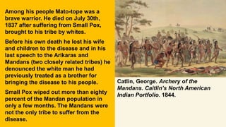 Among his people Mato-tope was a
brave warrior. He died on July 30th,
1837 after suffering from Small Pox,
brought to his tribe by whites.
Before his own death he lost his wife
and children to the disease and in his
last speech to the Arikaras and
Mandans (two closely related tribes) he
denounced the white man he had
previously treated as a brother for
bringing the disease to his people.
Small Pox wiped out more than eighty
percent of the Mandan population in
only a few months. The Mandans were
not the only tribe to suffer from the
disease.
Catlin, George. Archery of the
Mandans. Caitlin’s North American
Indian Portfolio. 1844.
 