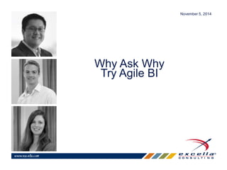 Why Ask Why 
Try Agile BI 
November 5, 2014 
 