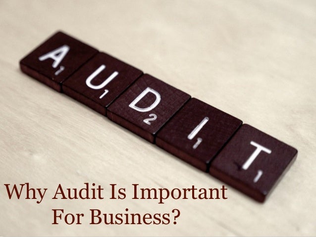 Why Audit Is Important For Business 