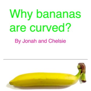Why bananas
are curved?
By Jonah and Chelsie

 