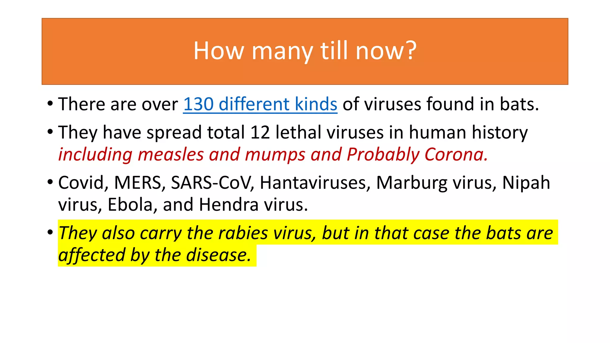Why do bats transmit most of the viruses | PPT