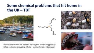 Some chemical problems that hit home in
the UK – TBT
Populations of shell fish were hit hard by this anti-fouling product
...