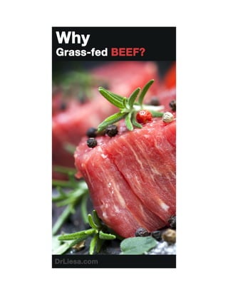 Why Grass-fed Beef?