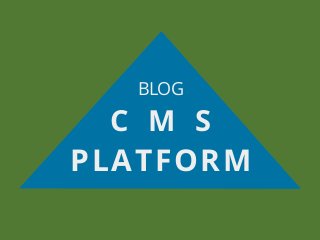 BLOG
C M S
PLATFORM
 