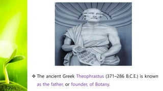  The ancient Greek Theophrastus (371–286 B.C.E.) is known
as the father, or founder, of Botany.
 
