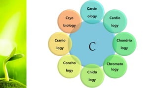 C
Carcin
ology
Cardio
logy
Chondrio
logy
Chromato
logy
Cnido
logy
Concho
logy
Cranio
logy
Cryo
biology
 