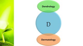 D
Dendrology
Dermatology
 