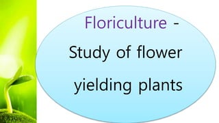 Floriculture -
Study of flower
yielding plants
 