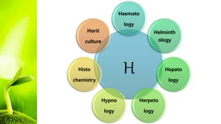 H
Haemato
logy
Helminth
ology
Hepato
logy
Herpeto
logy
Hypno
logy
Histo
chemistry
Horti
culture
 