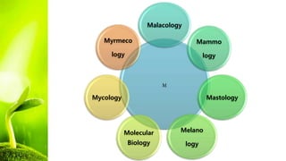 M
Malacology
Mammo
logy
Mastology
Melano
logy
Molecular
Biology
Mycology
Myrmeco
logy
 