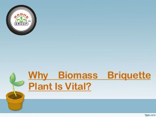 Why Biomass Briquette
Plant Is Vital?
 