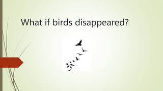 What if birds disappeared?
 
