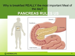 Why is breakfast REALLY the most important Meal of
the day?

PANCREAS RULES US

38

 