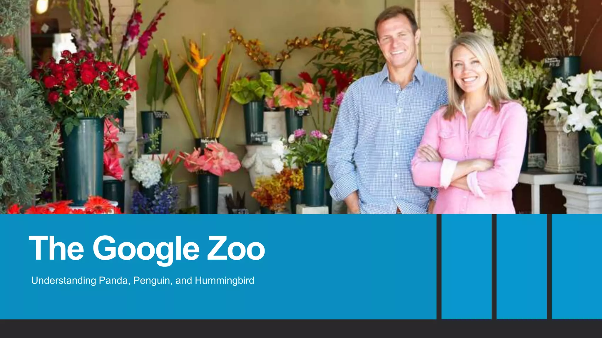 The Google Zoo
Understanding Panda, Penguin, and Hummingbird
 