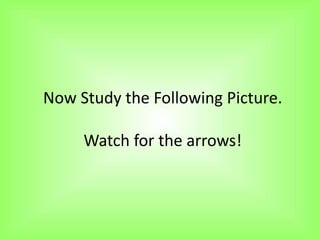 Now Study the Following Picture.

     Watch for the arrows!
 