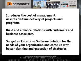 Why choose custom e business solutions