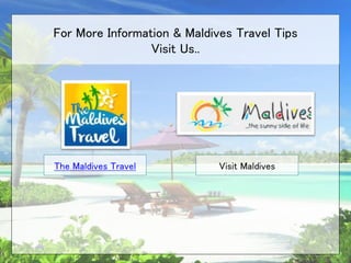 For More Information & Maldives Travel Tips
Visit Us..
The Maldives Travel Visit Maldives
 