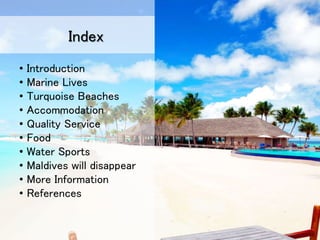 • Introduction
• Marine Lives
• Turquoise Beaches
• Accommodation
• Quality Service
• Food
• Water Sports
• Maldives will disappear
• More Information
• References
Index
 