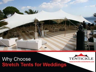 www.tentickle-stretchtents.com
 