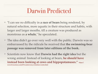 Darwin Predicted
❖ "I can see no difﬁculty in a race of bears being rendered, by
natural selection, more aquatic in their structure and habits, with
larger and larger mouths, till a creature was produced as
monstrous as a whale," he speculated.
❖ The idea didn't go over very well with the public. Darwin was so
embarrassed by the ridicule he received that the swimming-bear
passage was removed from later editions of the book.
❖ Scientists now know that Darwin had the right idea but the
wrong animal: Instead of looking at bears, he should have
instead been looking at cows and hippopotamuses.” https://
www.livescience.com/474-controversy-evolution-works.html
 