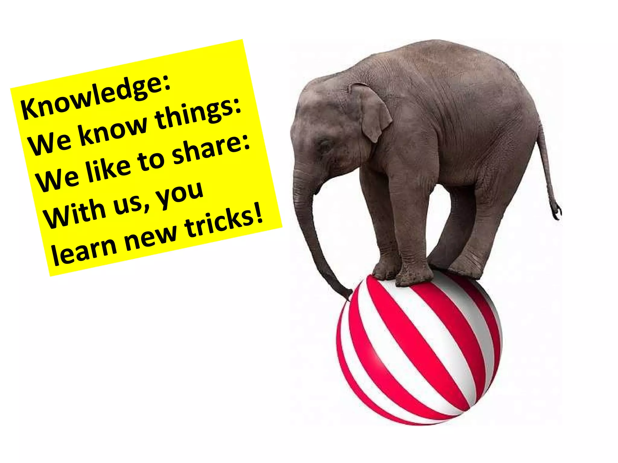 Knowledge: We know things: We like to share: With us, you learn new tricks!