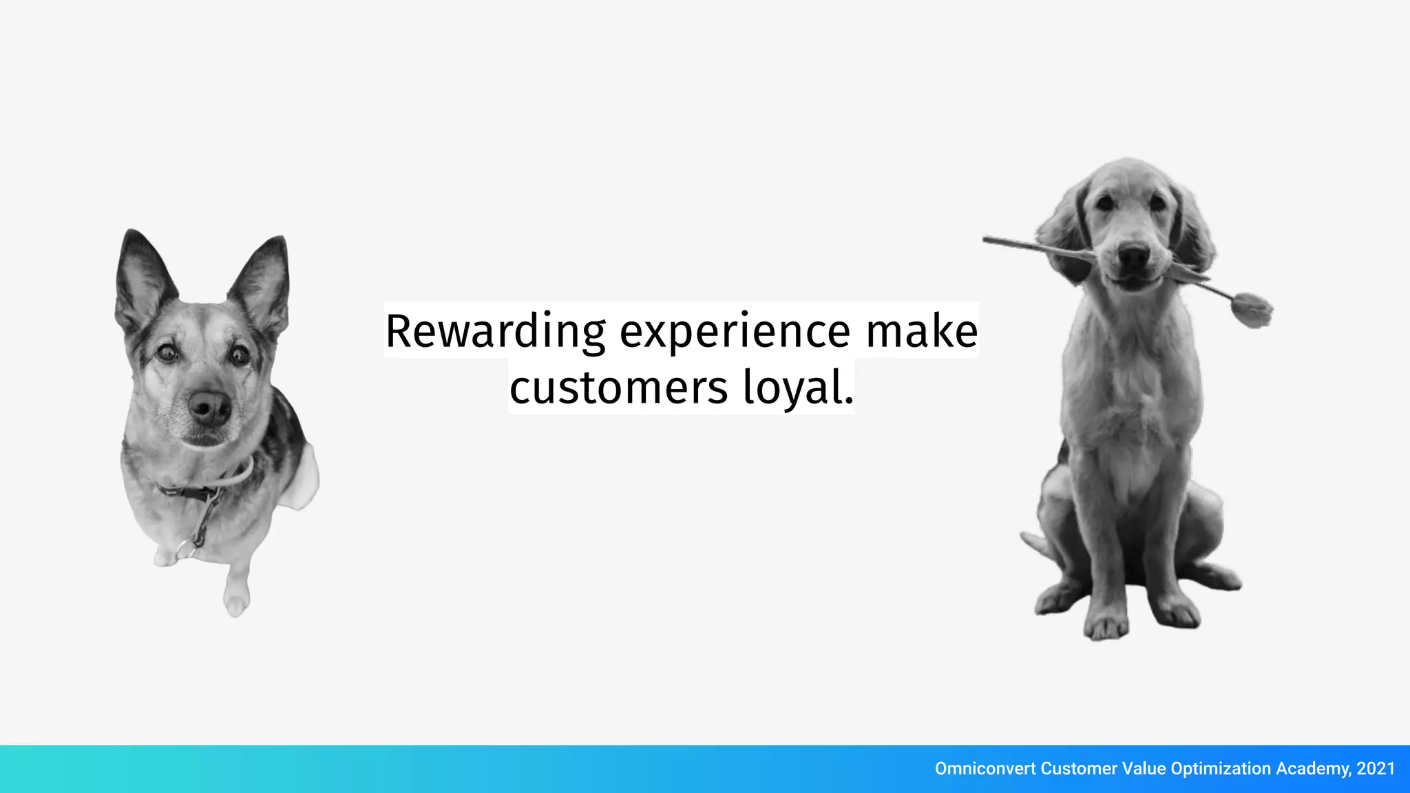 Rewarding experience make
customers loyal.
Omniconvert Customer Value Optimization Academy, 2021
 