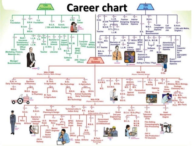 Career Chart After 12th Pdf