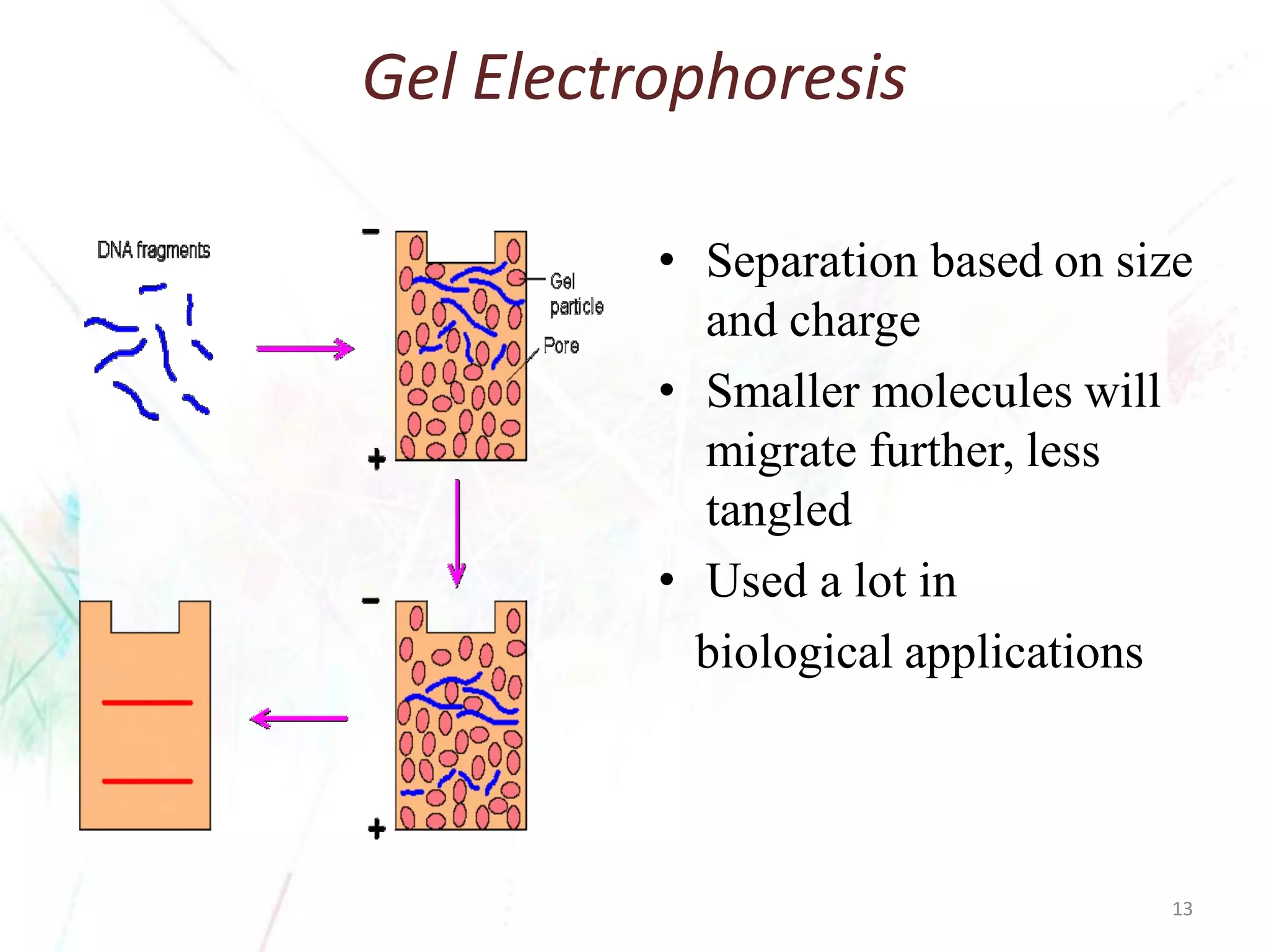 Gel Electrophoresis 
•Separation based on size and charge 
•Smaller molecules will migrate further, less tangled 
•Used a lot in 
biological applications 
13 
 