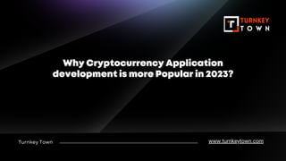 Turnkey Town
Why Cryptocurrency Application
development is more Popular in 2023?
www.turnkeytown.com
 